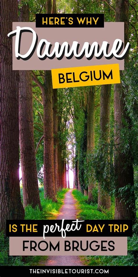 The Perfect Day Trip from Bruges: Damme, Belgium